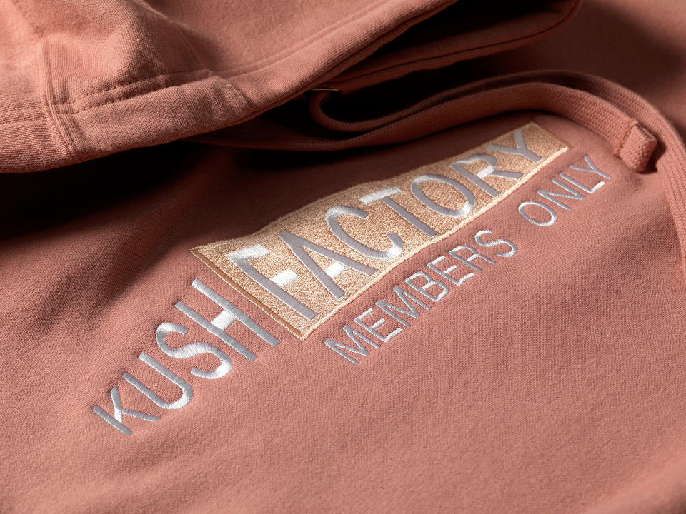 FACTORY HIGHLIGHT HOODIE - DUSTY ROSE